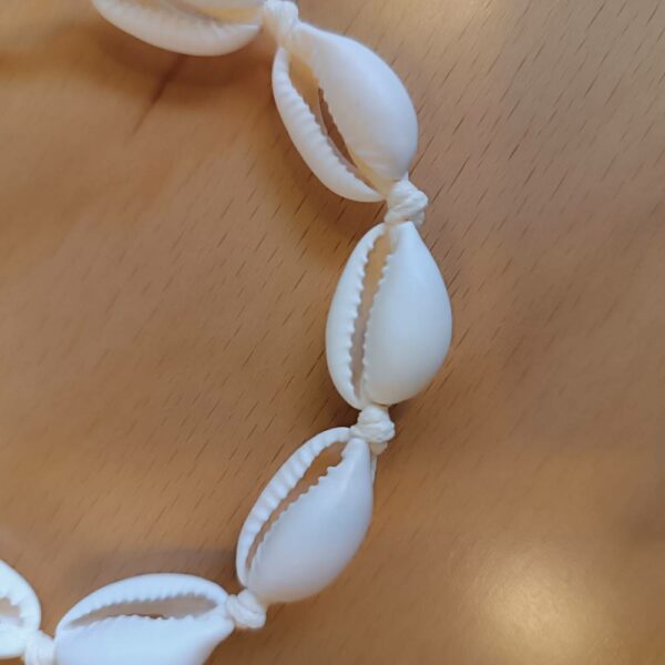 Bracelet coquillages