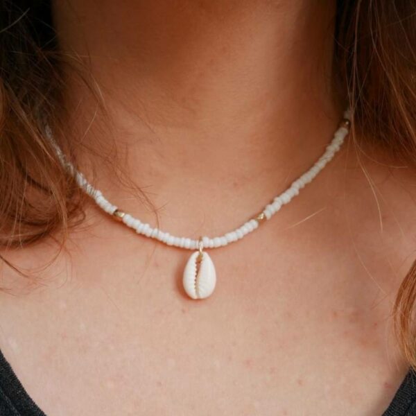 Collier coquillage